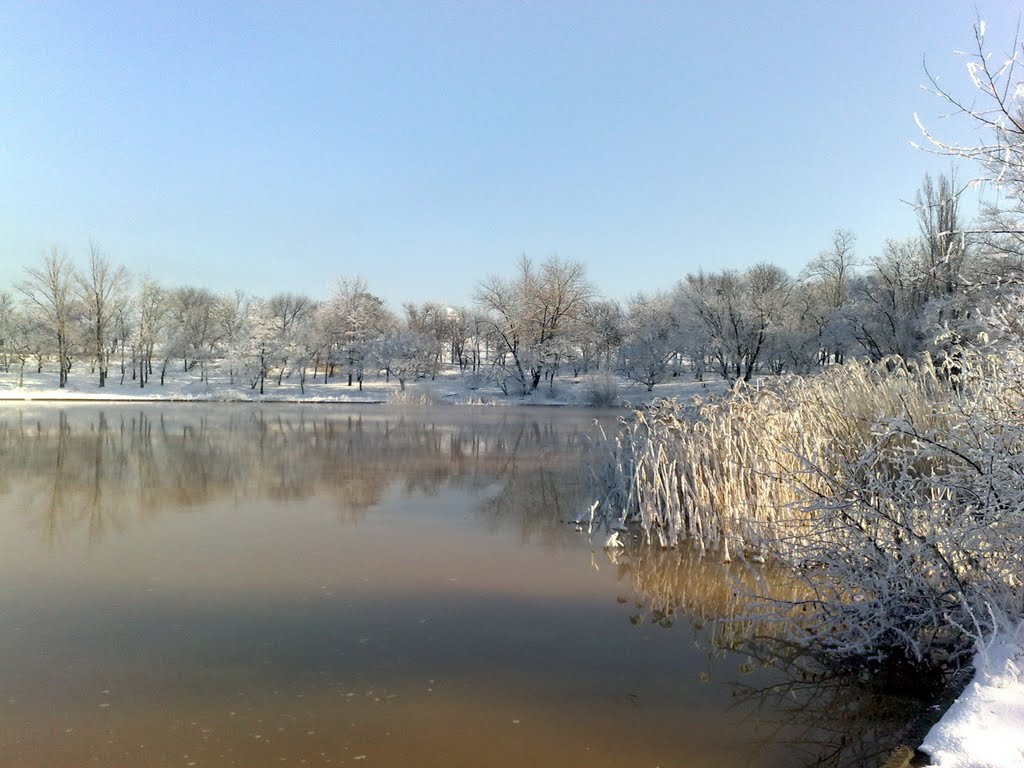 Lake in winter (2011), Брянка