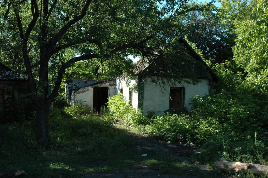 Дом затерянный в зелени. A house lost in green., Вахрушево