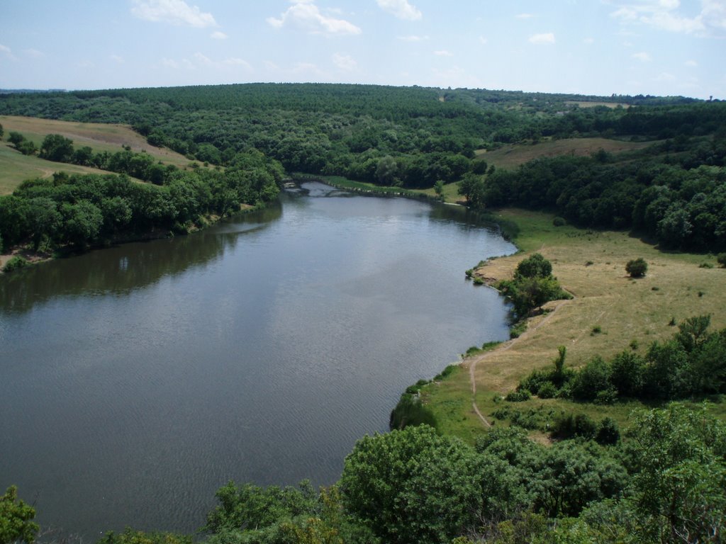 Курячанский ставок, Володарск