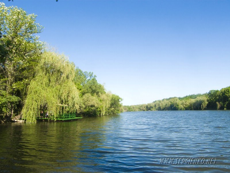 Lake on Chekhovs Summer residence 2011.Озеро на Даче Чехова 2011., Есауловка