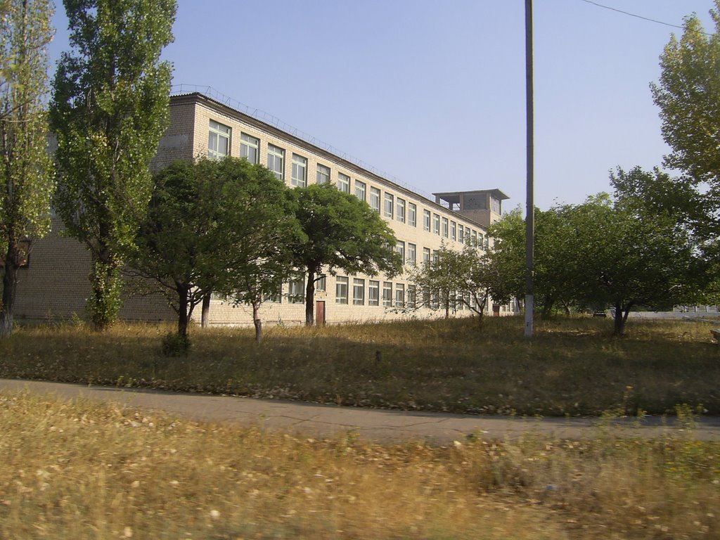 School, Кировск