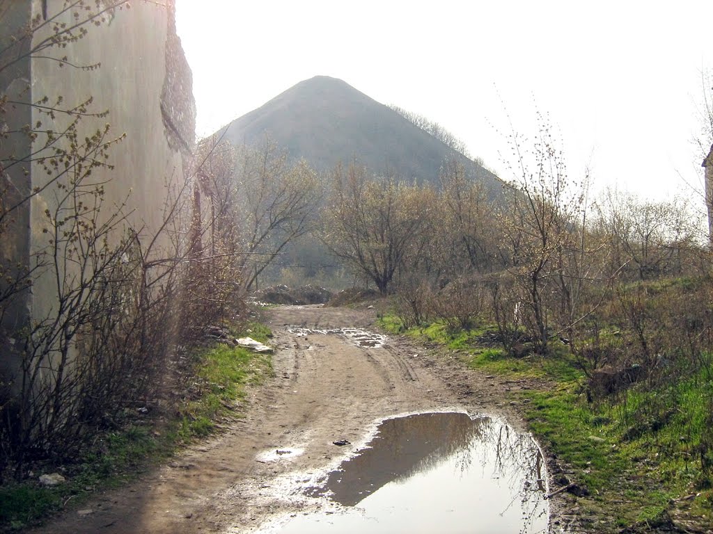 Вид на террикон с 2бис, Краснодон
