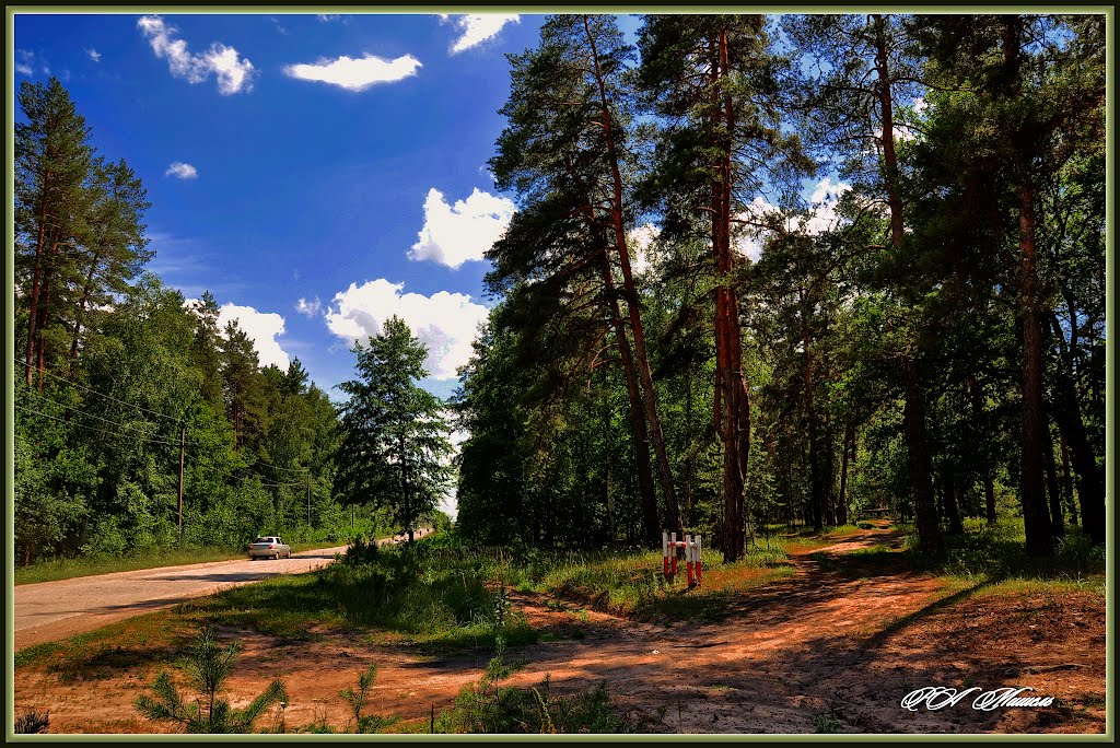 Лесной пейзаж, Кременная