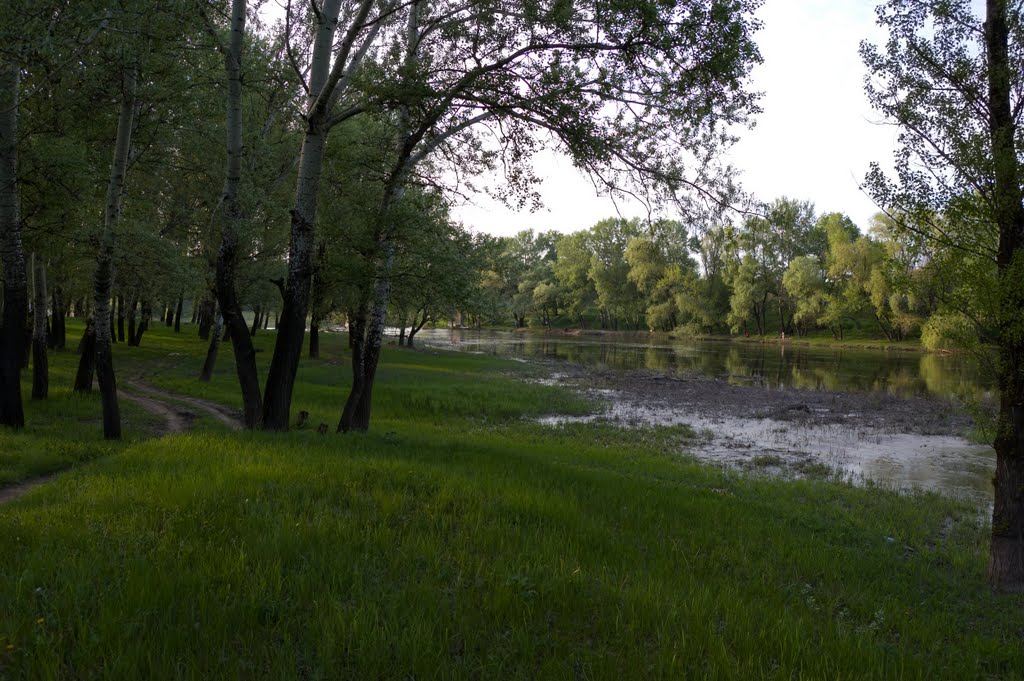 river, Лисичанск