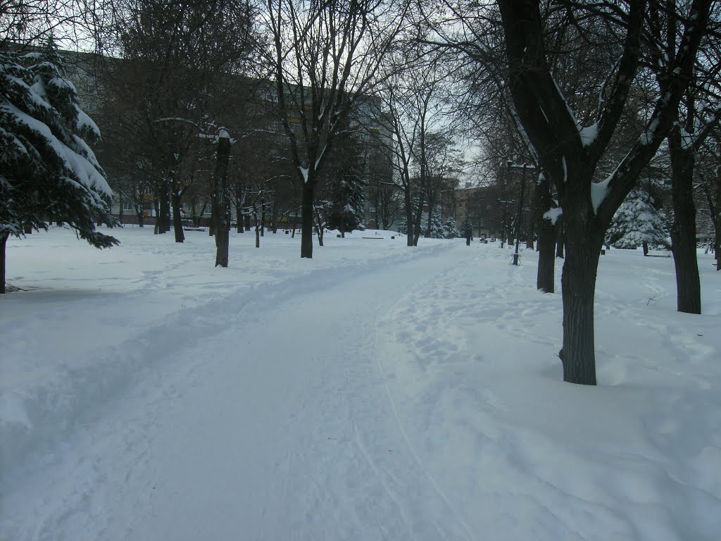 Декабрь 2012, Лисичанск