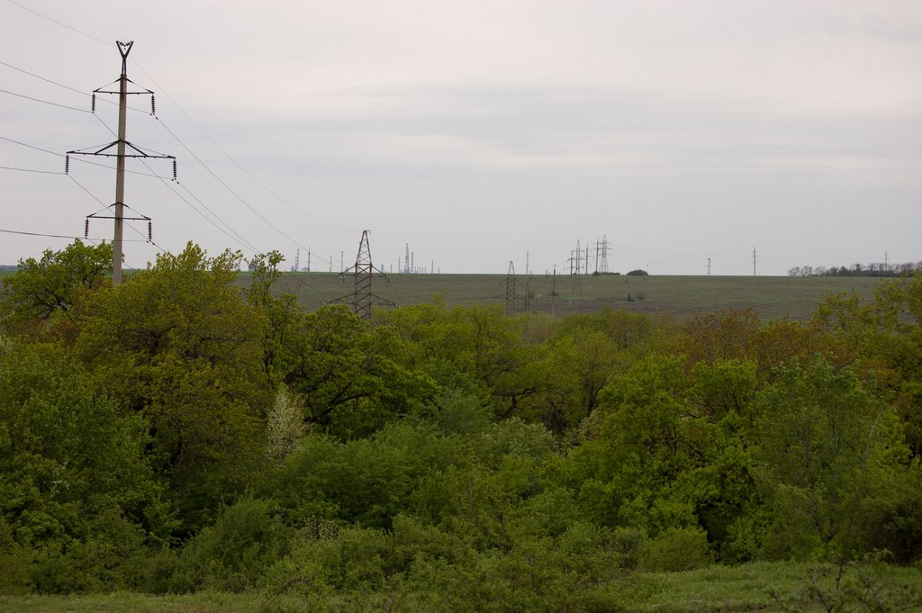 Power line & trees, Лисичанск