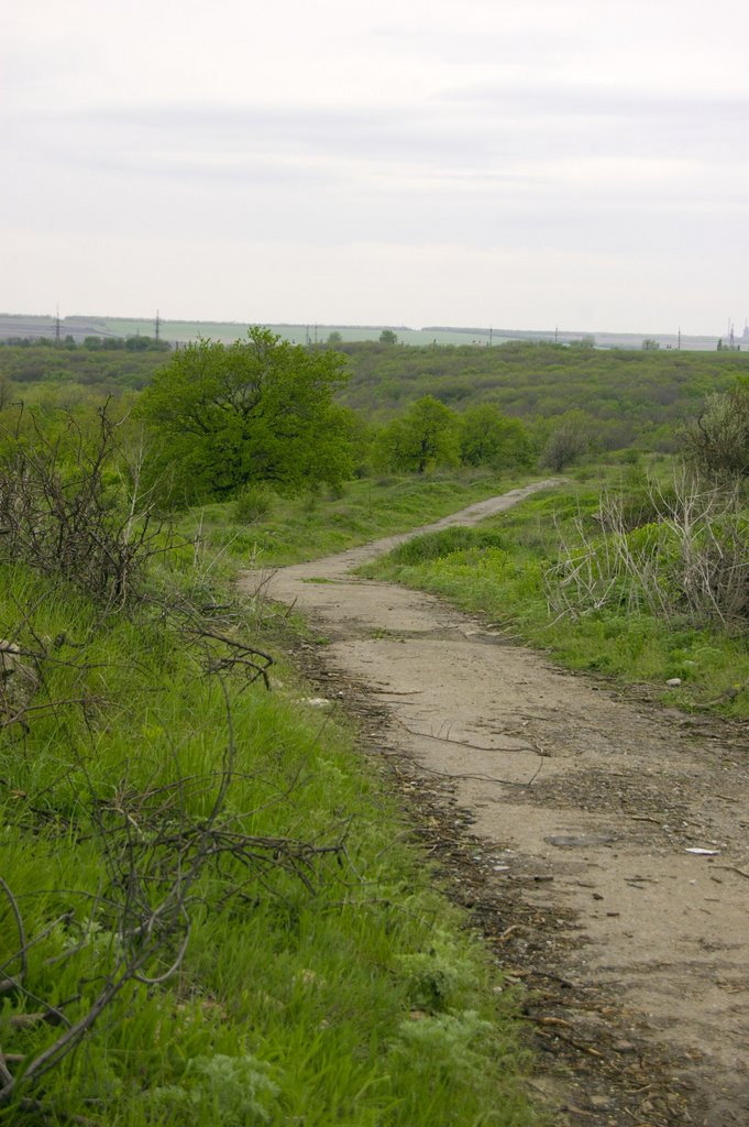 Abandoned Road, Лисичанск