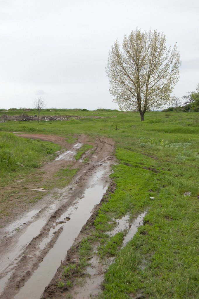 Old Road, Лисичанск