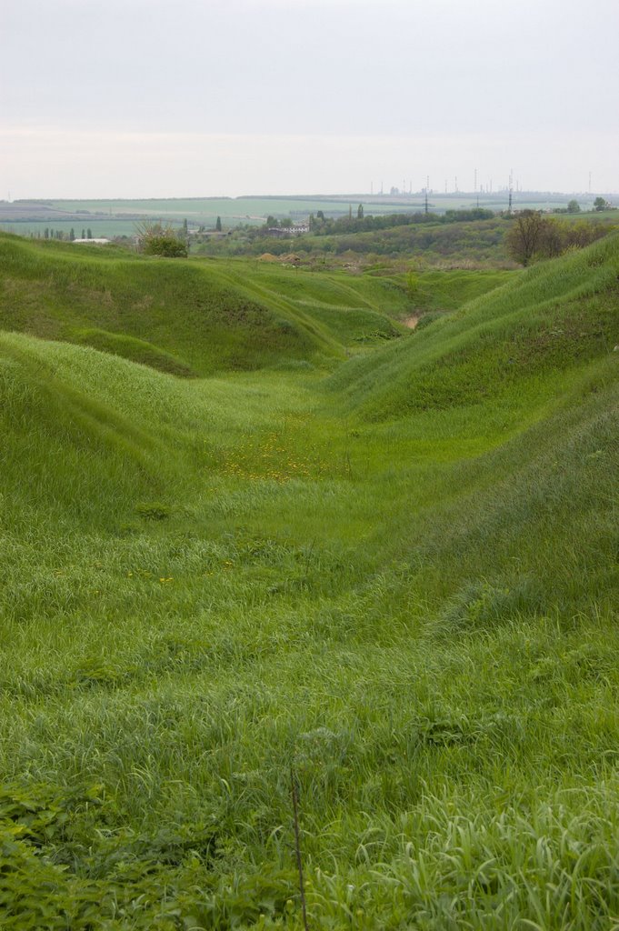 Green field, Лисичанск