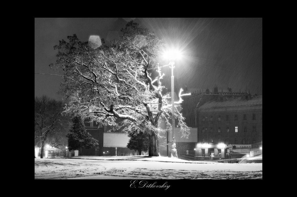 "под снегом, Луганск