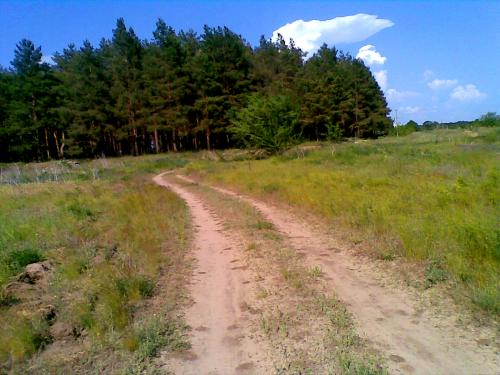 Дорога с речки в грибной лесок, Новоайдар