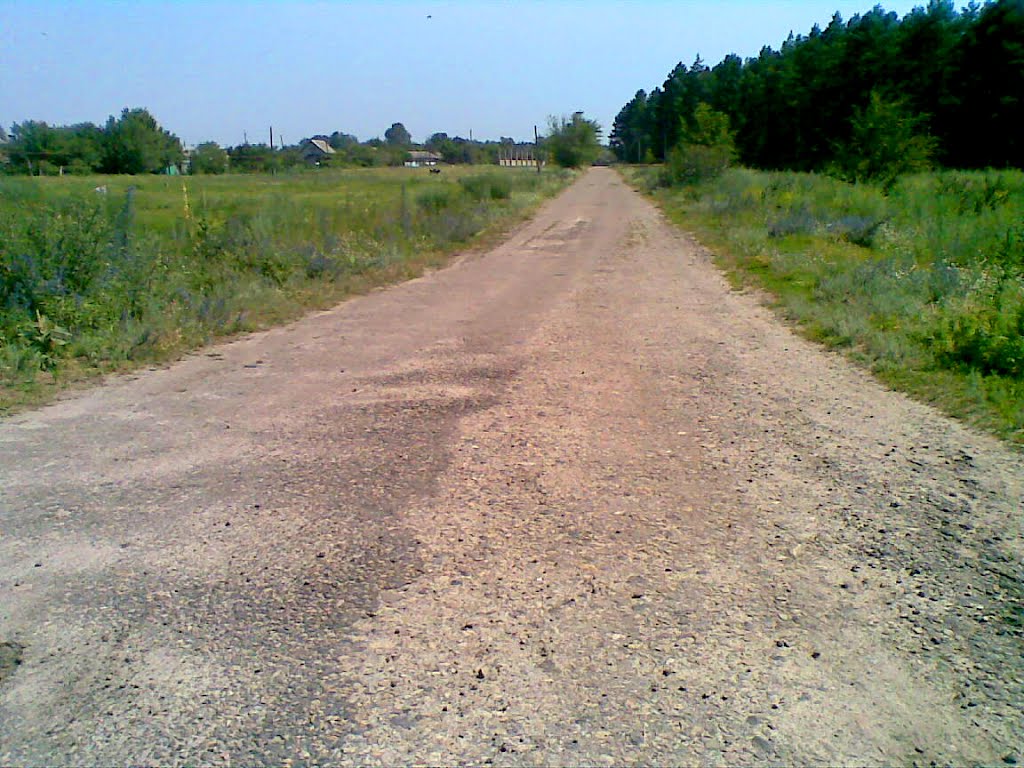 дорога в грибной лес (справа), Новоайдар