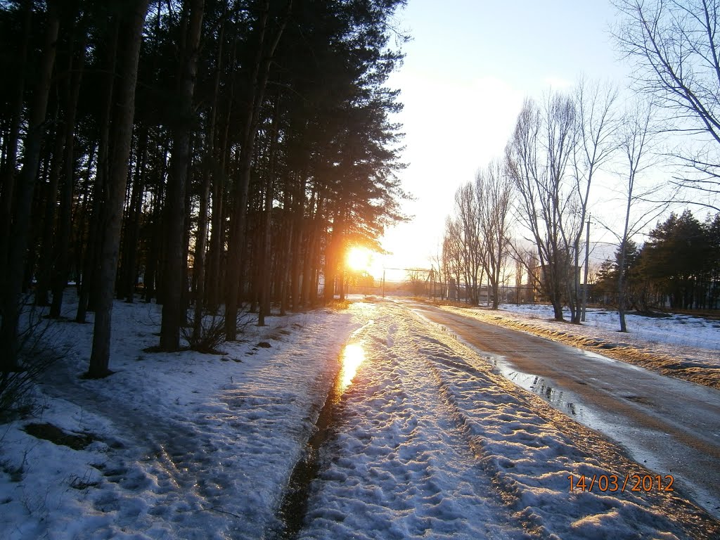 пейзаж,закат солнца,дорога на кв.Молодежный, Новоайдар