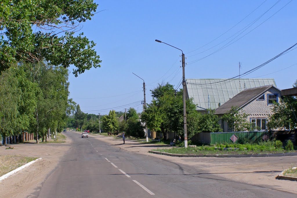 Улица в Новопскове, Новопсков