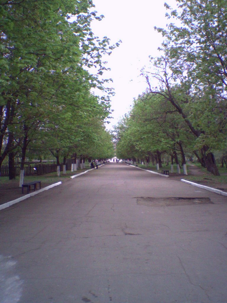 Парк победы (на День Победы все первомайцы здесь), Первомайск