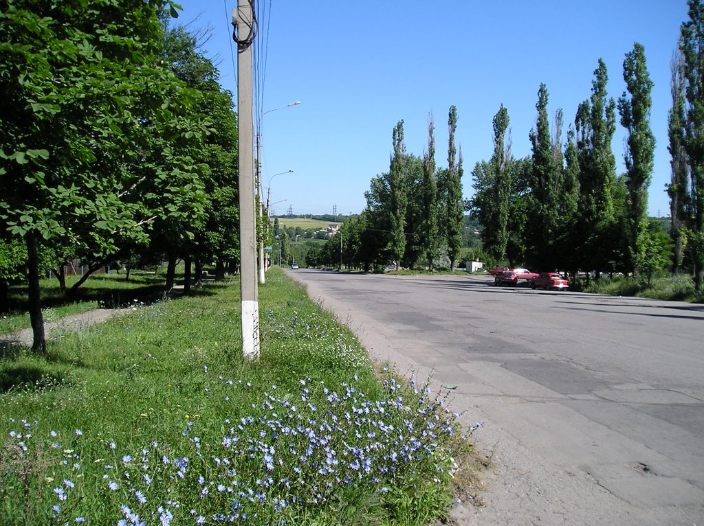 Outskirts of Pervomaisk, Первомайск