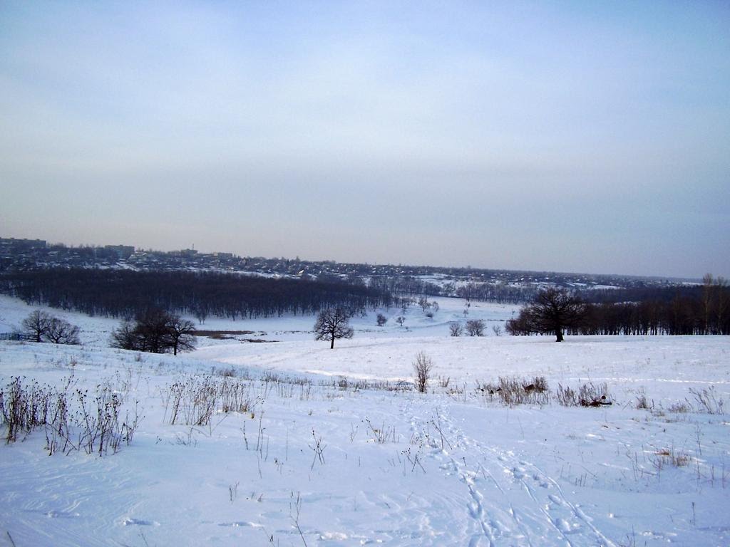 Зимний парк, Попасная