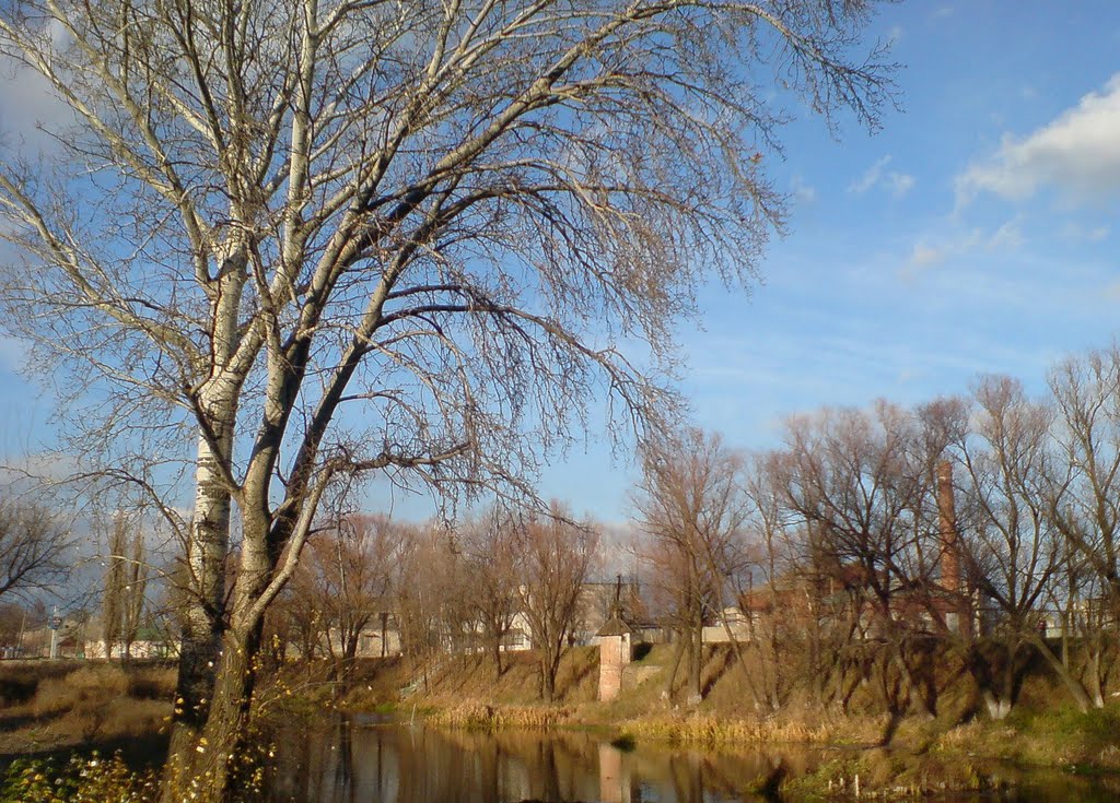 Осіння річка 2010, Сватово