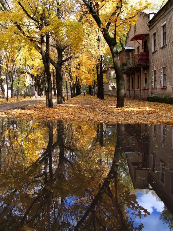 Осеннее зеркало ( Water mirror ), Северодонецк
