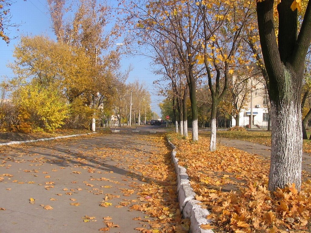 ул. Гоголя, опавшая листва, Северодонецк