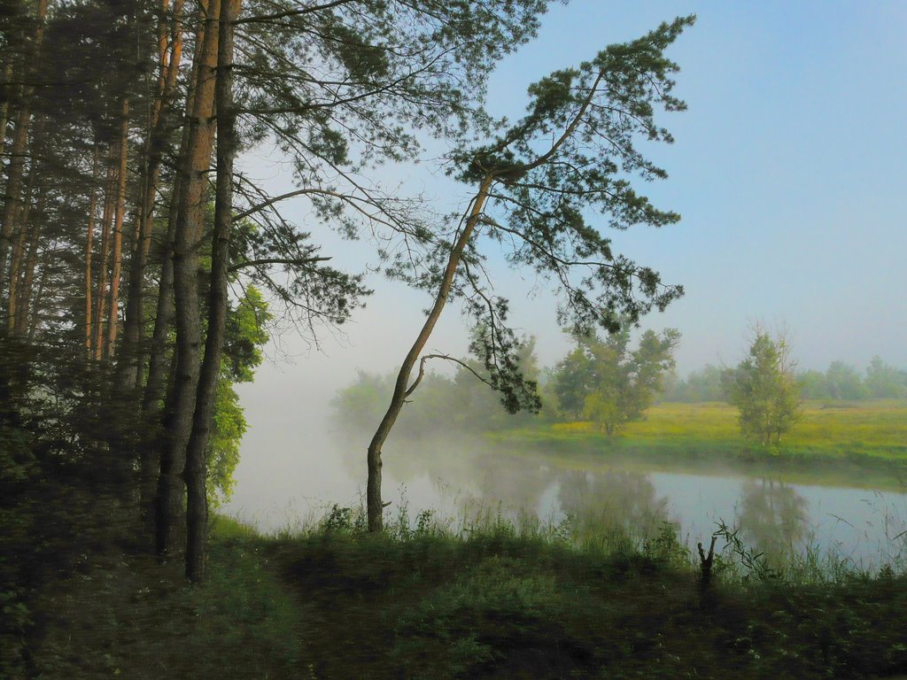 Туман, Славяносербск