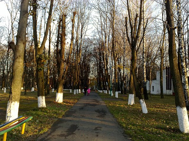 Наш парк, Борислав