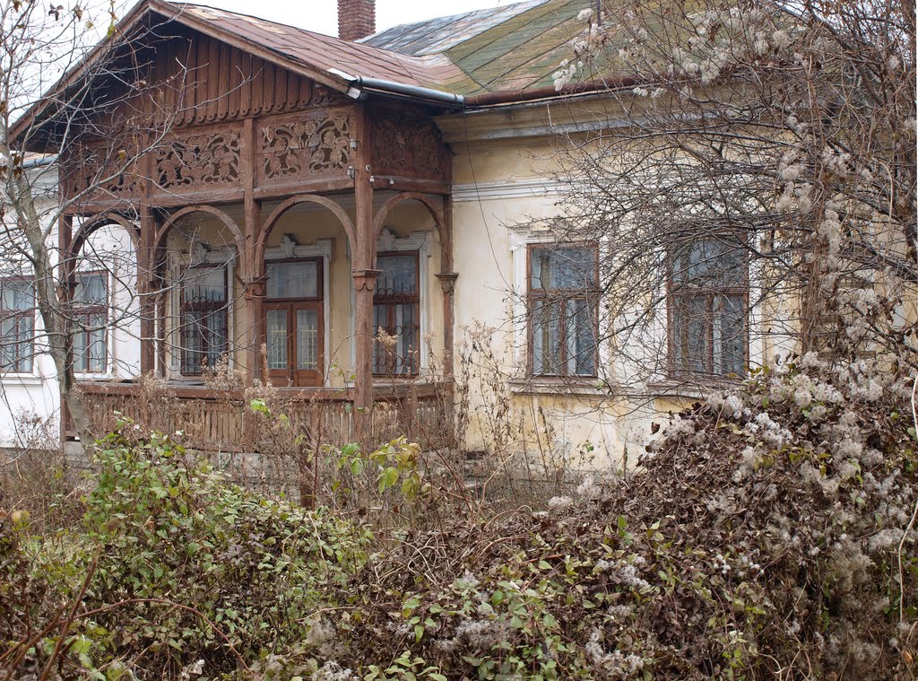 Дом / A house, Борислав