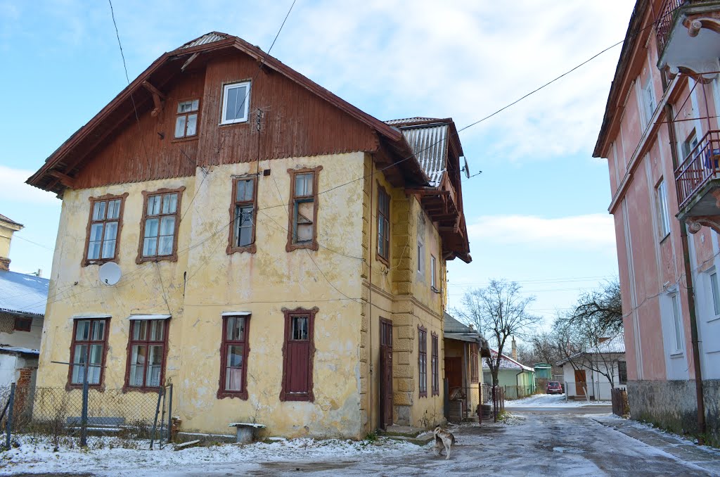 Старый дворик в Бориславе / Old Yard in Borislav, Борислав