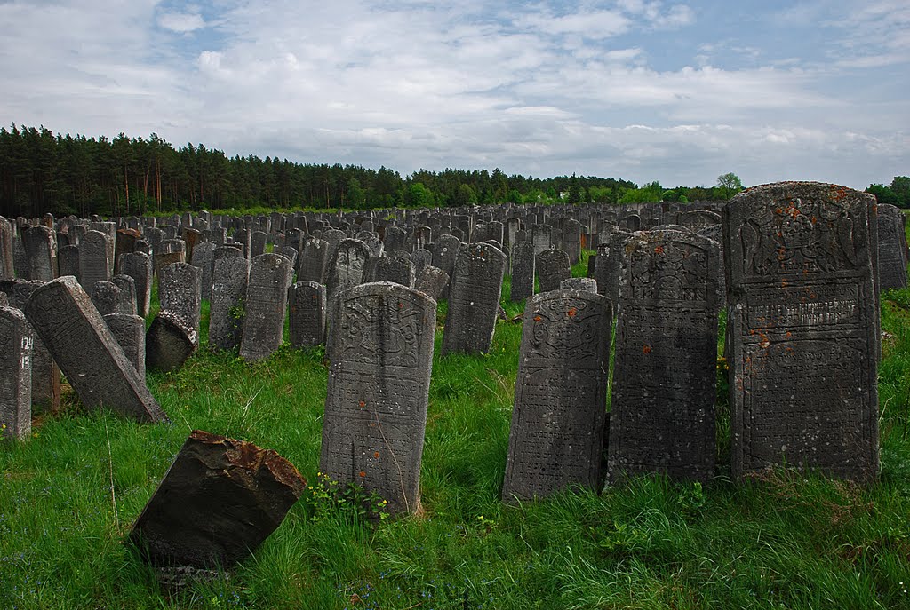 Cmentarz żydowski w Brodach, Броды