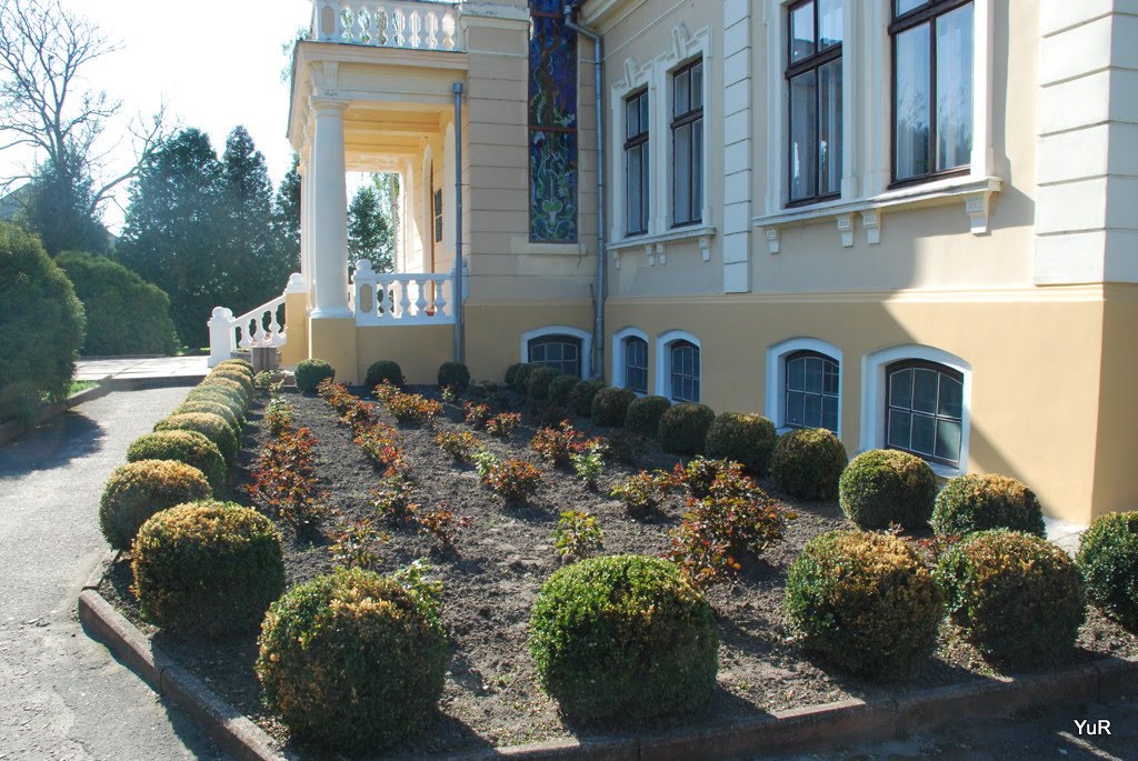Палац графів Тишкевичів, Броды