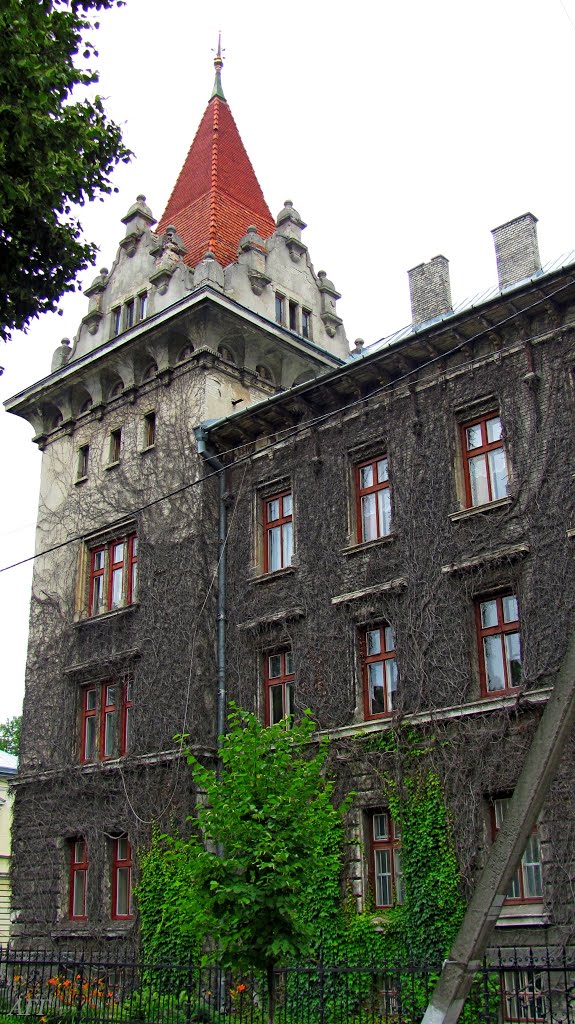 Здание бывшего поветового суда,1911г,все укрыто диким виноградом, Броды