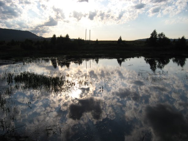 Lake On Dibrova, Верхнее Синевидное