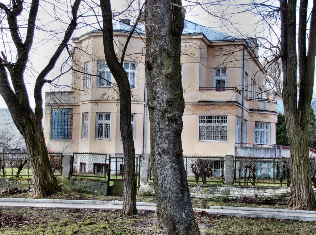 Школа "Берегиня" в Винниках, Винники