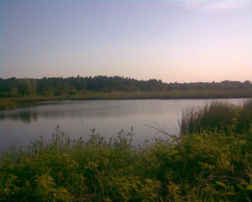 Lake near the dobrotvir, Добротвор