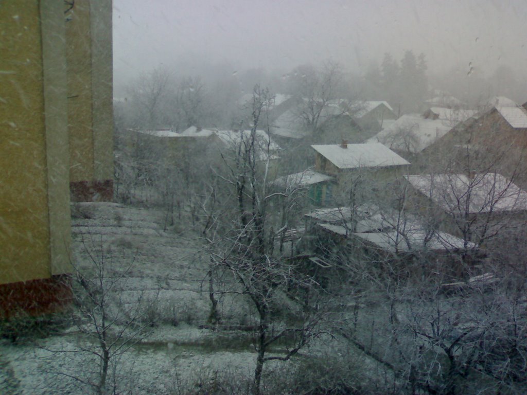 Сніг, Стрийська 62, Дрогобыч