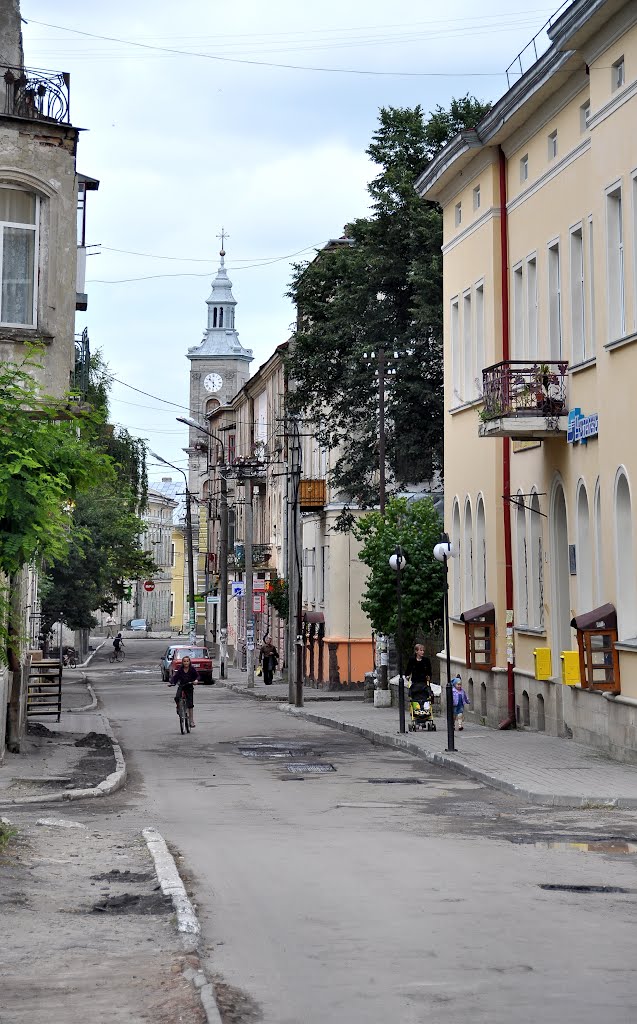 Pushkina street, Золочев