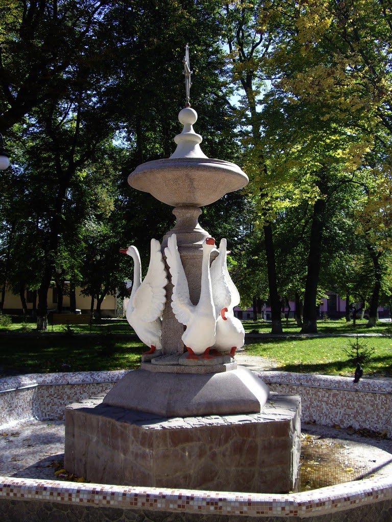 Старый фонтан, Золочев