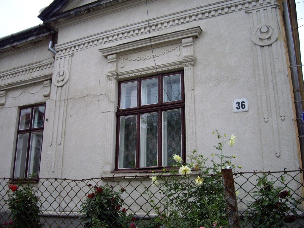 former polish house, Золочев
