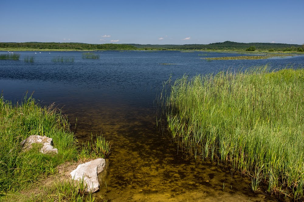 озеро в с Ивано-Франково, Ивано-Франково
