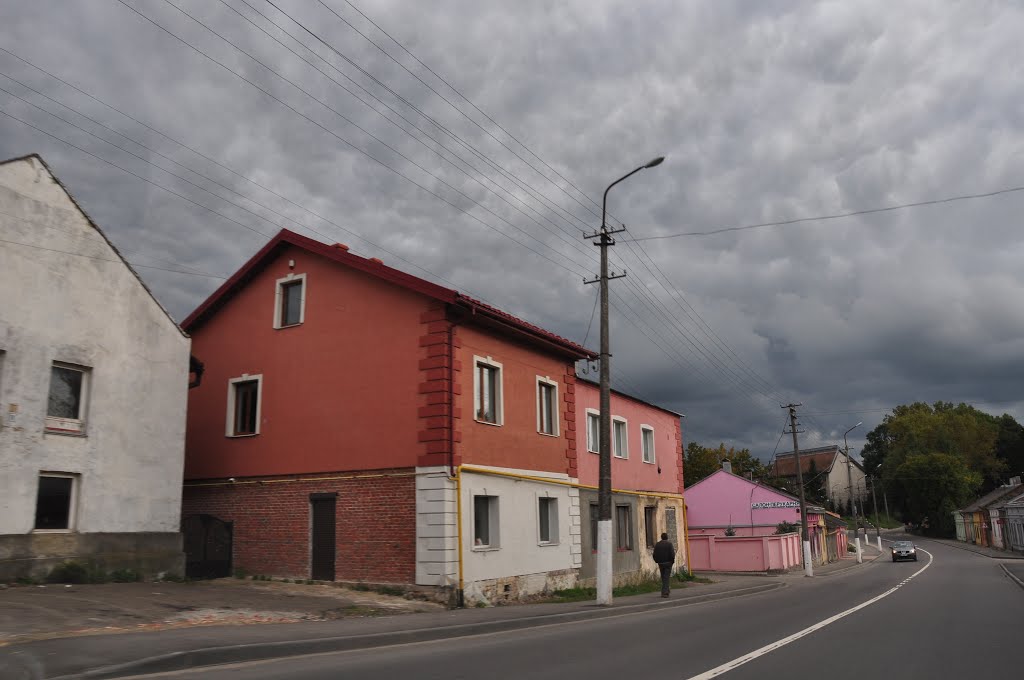 Street in Yaniv, Ивано-Франково