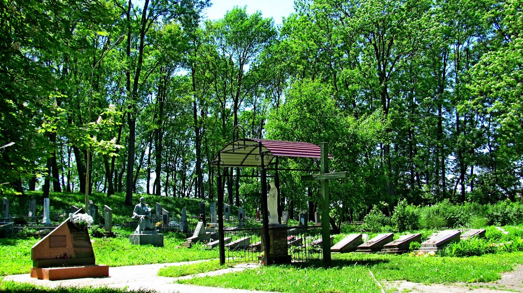 Героям Слава!!! 110 индивидуальных могил и одна братская всего 452человека 1944-1945гг., Каменка-Бугская