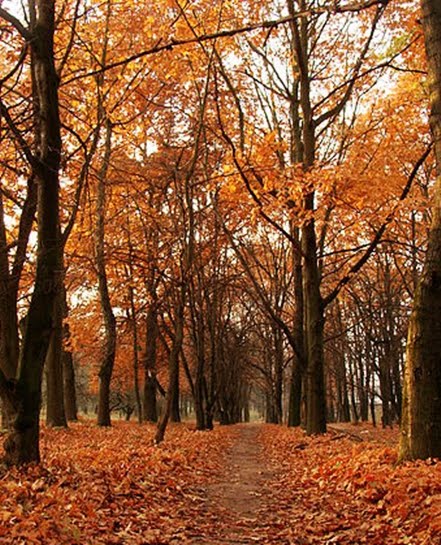 Autumn, Николаев