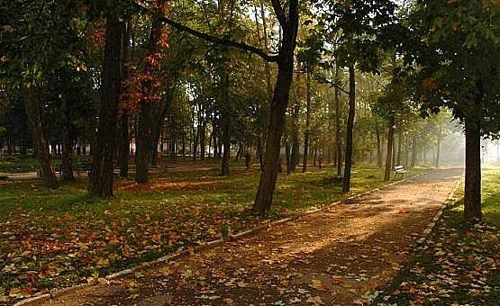 Park, Николаев