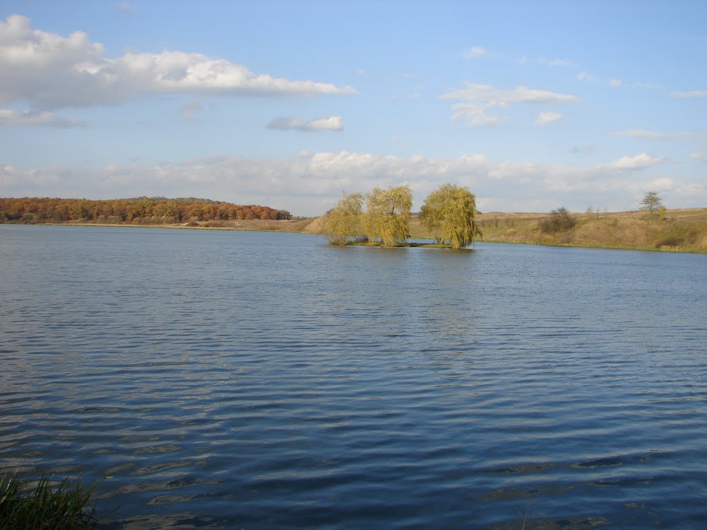 Перемишлянське озеро, Перемышляны