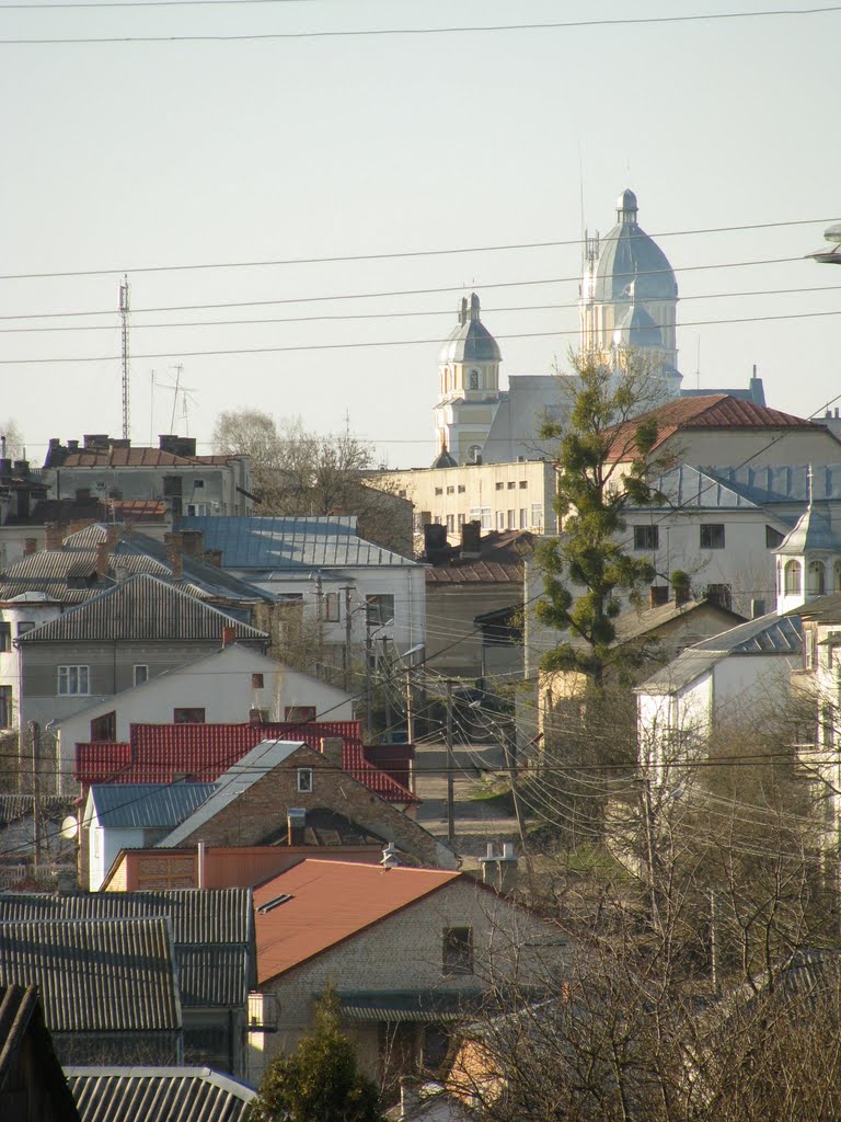Вид на місто з костела, Перемышляны