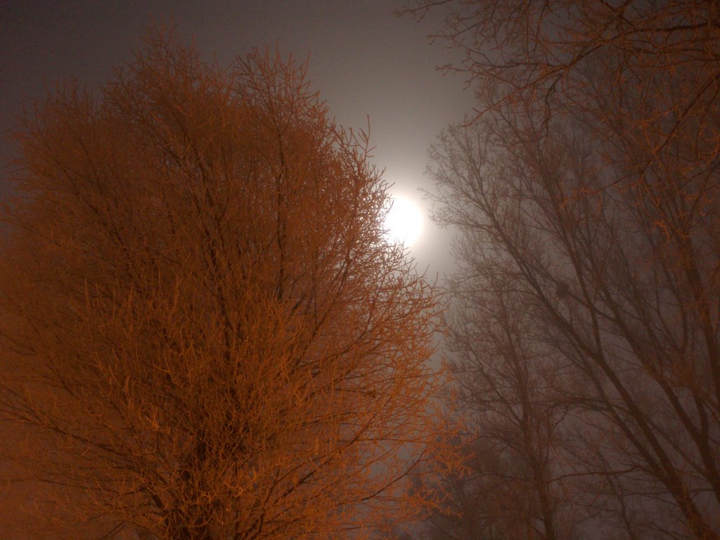 Зимовий вечір в Пустомитах - Moonlight over Pustomyty, Пустомыты