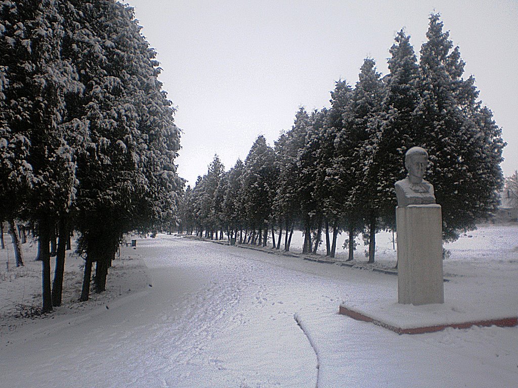 Памятник Лесі Українці взимку, Рава Русская
