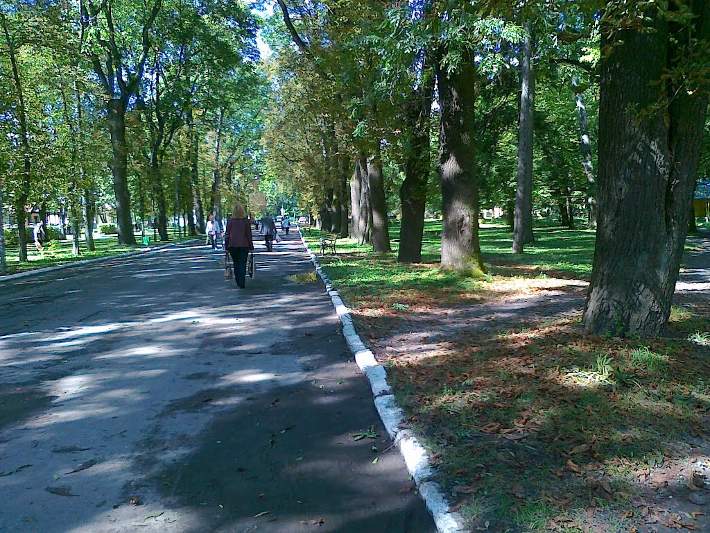 Поспект Відродження через парк, Радехов