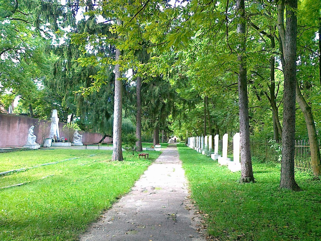 Кладовище біля лікарні, Радехов