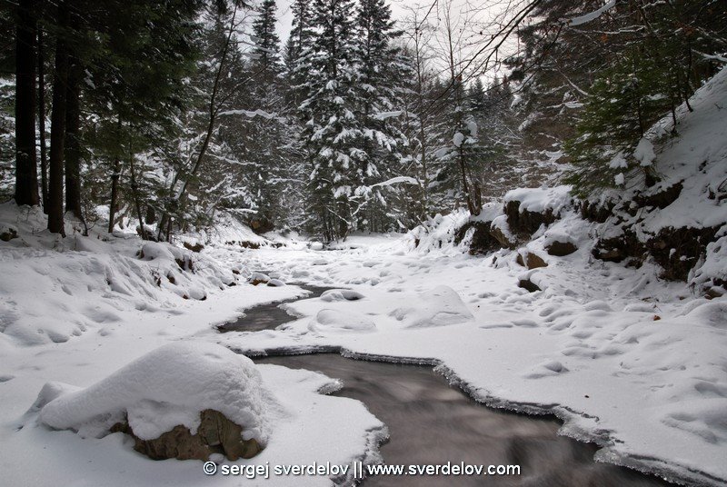 Winter river, Сколе